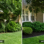 Before and After Yard Work