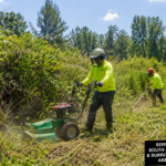 Removing Brush